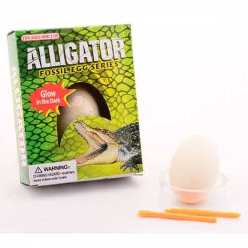 aligator uit ei