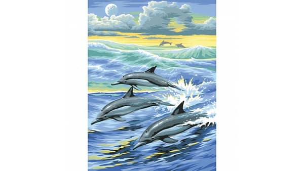 schilderen op nummer dolfijnen